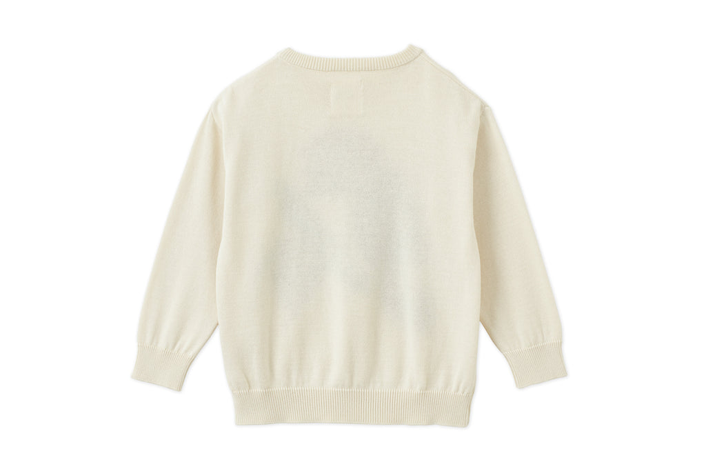 Organic Cotton Intarsia-Knit Pullover